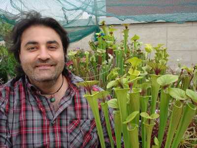 Le piante carnivore di Domenico Saulle